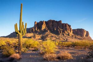 A photograph to represent Arizona, featuring a multi-armed cactus and scrubby brush in the foreground and a massive rocky midwestern cliffside in the background.