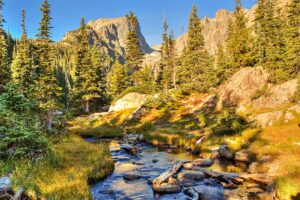 A photograph to represent Colorado, featuring a stream with grassy banks in the foreground and evergreen trees and rocky mountains in the background.