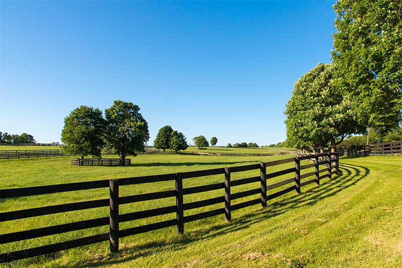 A photograph to represent Iowa, featuring a wooden fence through a grassy field dotted with the occasional deciduous tree.