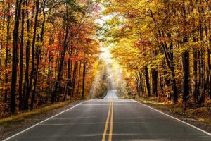 A photograph to represent New Hampshire, featuring a roadway splitting forests of deciduous trees boasting red and golden autumn leaves.