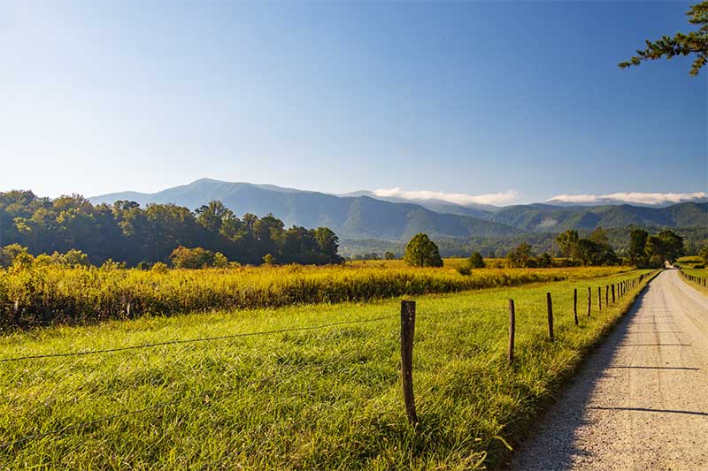 A photograph to represent Tennessee, featuring fences on either side of a gravel roadway, which runs along fields with long grasses. Tall hillsides dotted with green trees rise up in the background.