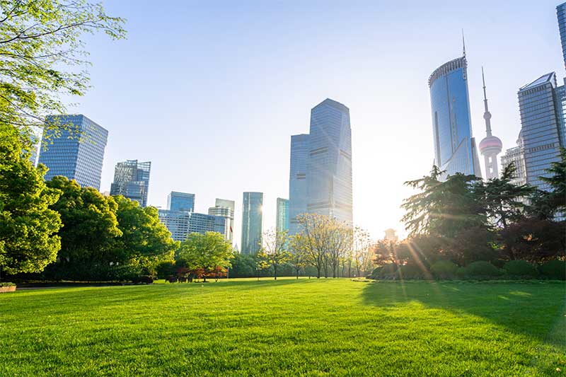 A photograph to represent Houston, featuring a large grassy field in front of skyscrapers glinting the bright sunlight.